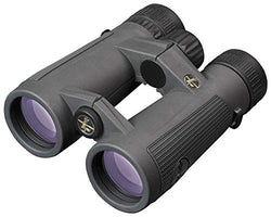 Leupold BX-5 Santiam HD 8x42mm Binocular, Shadow Gray (174481)