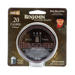 Benjamin Cylindrical .20 Cal, 14.3 Grains, Pointed, 500ct