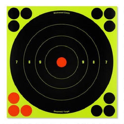 Birchwood Casey Shoot-N-C Bullseye Targets, 12, 5 Targets + 120 Pasters